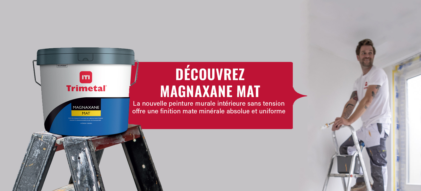 peintre sur une échelle et un pot de magnaxane mat