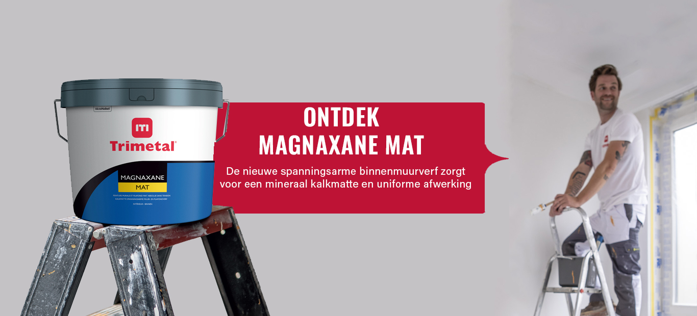 schilder op een trapladder en een pot magnaxane mat