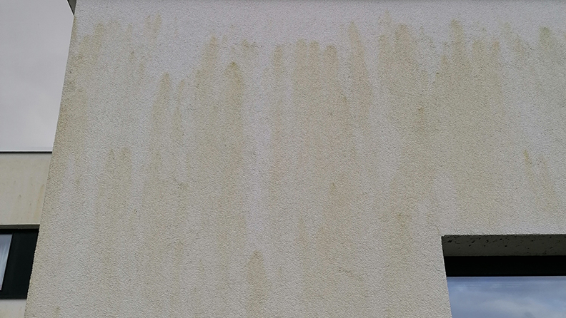 crepi avec dépôts verts